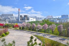 河钢集团唐钢公司低压控制柜、PLC控制柜、中控室系统